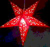 Animated Starglitz Lampshades - The Greenhouse Licensed Vegetarian and Vegan Restaurant, Manchester